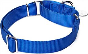 img 3 attached to Dazzber Martingale Collar, Medium, Royal Blue, Neck 14 Inch -21 Inch, No Pull No Escape Dog Collar, Great For Training Walking Running