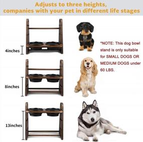 img 2 attached to Adjustable Elevated Dog Bowl Stand With Two Collapsible Bowls - Emfogo Wooden Raised Feeder For Small, Medium, And Large Dogs And Cats. Adjustable Height For Optimal Comfort And Convenience.