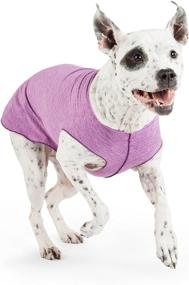 img 3 attached to 🐾 Gold Paw Sun Shield Dog Tee: All-Season T-Shirt with UV Protection and Pet Anxiety Relief – Prevents Foxtails, Alopecia, and Wound Care – Machine Washable