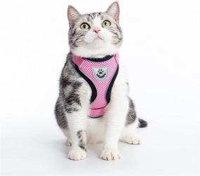 img 3 attached to 🐱 PUPTECK Cat Harness and Leash Set: Adjustable Vest Escape Proof Harness for Small to Medium Cats - Retractable Breathable Soft Mesh with Reflective Strips, Ideal for Outdoor Adventures!