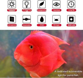 img 2 attached to 🐠 Enhance Your Fish Tank with the MQ Submersible LED Aquarium Light - Remote Control, Color Changing, 1.2W, IP68 Crystal Glass, 9-LED Bar