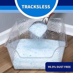 img 1 attached to 🐱 20 lb Tracksless Litter Pearls Cat Litter - White, Clear, and Blue Crystals - TLLP20