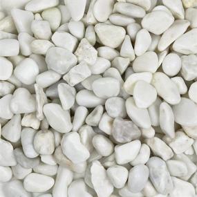 img 4 attached to 🪨 Galashield White Rocks Pebbles for Plants & Succulents: Aquarium Gravel, Fish Tank & Vase Decorative Stones [2 lbs, 1-2 cm]