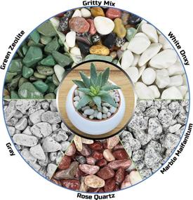 img 1 attached to 🪨 Galashield White Rocks Pebbles for Plants & Succulents: Aquarium Gravel, Fish Tank & Vase Decorative Stones [2 lbs, 1-2 cm]