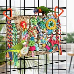 img 2 attached to 🐦 Bird Toys Foraging Wall: Engaging Parakeets, Cockatiels, Conures, and Lovebirds with Shredding Seagrass & Various Toys