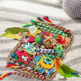 img 1 attached to 🐦 Bird Toys Foraging Wall: Engaging Parakeets, Cockatiels, Conures, and Lovebirds with Shredding Seagrass & Various Toys