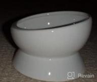 img 1 attached to Elevated Cat Water Bowl - Ceramic Raised Tilted Feeder Prevents Vomiting, Perfect For Small Dogs & Fat Faced Cats (White) review by Audrey Ortiz