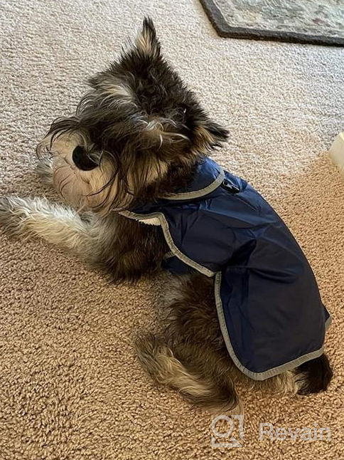 img 1 attached to Protect Your Pup From The Rain With Our Waterproof Dog Raincoat Featuring Harness And Reflective Design review by Mike Steeg