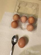 img 1 attached to Toplife Clear Plastic Eco-Friendly Egg Carton Set - 60 Ct., Securely Holds 6 Eggs with Sticker Labels review by Jeremy Meyer