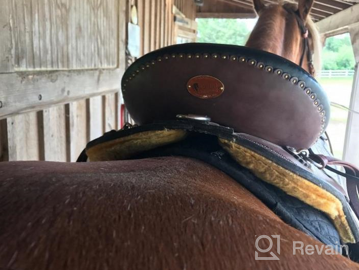 img 1 attached to ECP All Purpose Correction Saddle Pad With Memory Foam Pockets: Comfort For Your Horse review by Profit Gilley