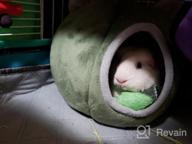 img 1 attached to Cozy Gray Cave Bed For Guinea Pigs, Hamsters, And Hedgehogs - Perfect Winter Nest For Small Animals By EONMIR review by Michael Tarlue