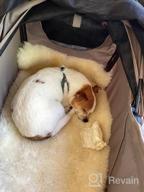 img 1 attached to Hauck Tog Fit Pet Roadster - Perfect For Traveling With Your Furry Friend! review by Chris Beals