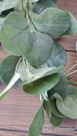img 1 attached to Supla 6' Long Eucalyptus Garland Faux Silver Dollar Eucalyptus Leaves Garland Greenery Garland Wedding Hanging Eucalyptus Vine Arch Swag 164 Pcs Leave In Grey Green For Backdrop Photo Booth Boho Decor review by Rick Marie