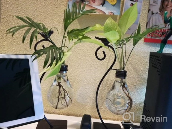 img 1 attached to Add A Touch Of Green To Your Space With Marbrasse Desktop Glass Planter - Lovely Dog Hydroponics Vase review by Cedrick Ayudara