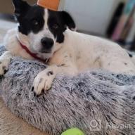 img 1 attached to Get Comfy With Barkbox 2-In-1 Memory Foam Donut Cuddler Dog And Cat Bed For Joint Relief And Calmness - Removable Cover, Machine Washable, Waterproof Lining, And Toy Included! review by Jim Viswanadham
