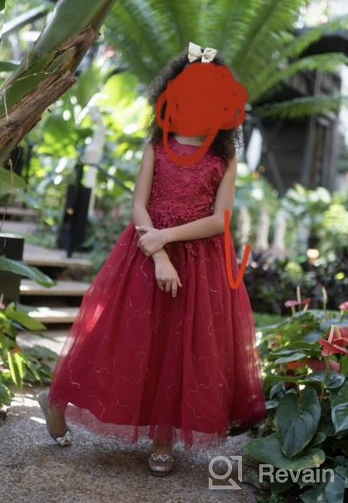 img 1 attached to Big Girls Lace Bridesmaid Dress Flower Kid Wedding Ball Gown Toddler Princess Pageant Evening Dresses review by Thomas Henry