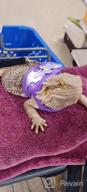 img 1 attached to Soft & Adjustable Handmade Harness Vest And Leash Set For Small Pets - Hamsters, Rats, Iguanas, Bearded Dragons, And Ferrets In Purple review by Wayne Lemke