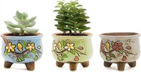img 4 attached to Charming Hand-Painted Ceramic Succulent Pot For Vintage Style Decor - 3 Inch Goldblue Planter Pots With Little Flower Design