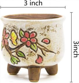 img 3 attached to Charming Hand-Painted Ceramic Succulent Pot For Vintage Style Decor - 3 Inch Goldblue Planter Pots With Little Flower Design