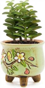 img 1 attached to Charming Hand-Painted Ceramic Succulent Pot For Vintage Style Decor - 3 Inch Goldblue Planter Pots With Little Flower Design