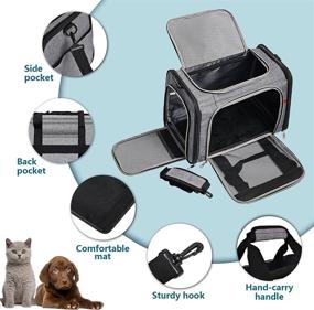 img 2 attached to 🐱 CaiDieNu Large Cat Carrier Pet Carrier: Airline Approved, Foldable and Spacious for Small to Medium Dogs and Cats, up to 22 lbs