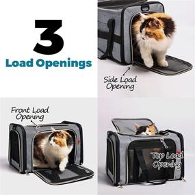 img 1 attached to 🐱 CaiDieNu Large Cat Carrier Pet Carrier: Airline Approved, Foldable and Spacious for Small to Medium Dogs and Cats, up to 22 lbs