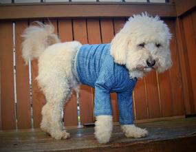 img 1 attached to 🦟 Protective Mozzie Pants Dog T-Shirt: Shield Your Beloved Pet from Mosquito Bites!