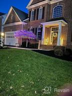 картинка 1 прикреплена к отзыву Light Up Your Holiday Bushes: KNONEW Christmas Net Lights With 360 LEDs And 8 Modes от Tutan Guliford
