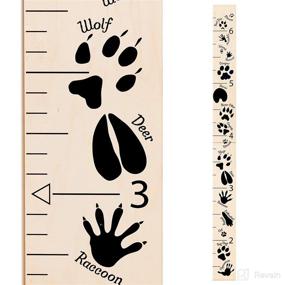 img 3 attached to 🦊 Headwaters Studio Animal Tracks Growth Chart – Wooden Ruler, Dark Gray