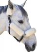 protect your horse with ecp's merino sheepskin halter fleece set - 4 pieces for ultimate comfort and relief logo