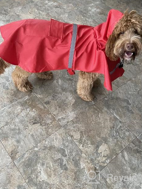 img 1 attached to Stay Stylish And Safe In The Rain With NINEMAX Dog Raincoat - Adjustable Pet Jacket With Reflective Strip For Medium To Large Dogs review by Chris Burks