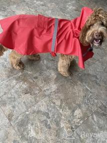 img 8 attached to Оставайтесь стильными и в безопасности под дождем с плащом для собак NINEMAX - регулируемая куртка для домашних животных со светоотражающей полосой для средних и крупных собак