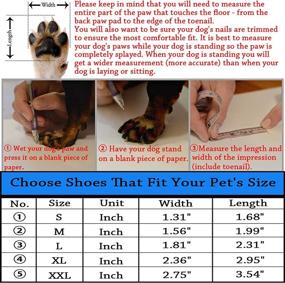 img 3 attached to 🐶 Explore Stylish Cdycam Puppy Dogs Candy Colors Rain Shoes Boots with Anti-Slip & Waterproof features