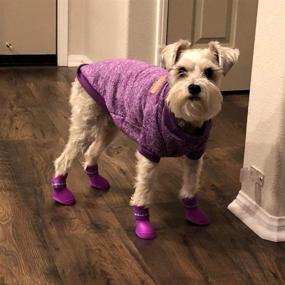 img 1 attached to 🐶 Explore Stylish Cdycam Puppy Dogs Candy Colors Rain Shoes Boots with Anti-Slip & Waterproof features