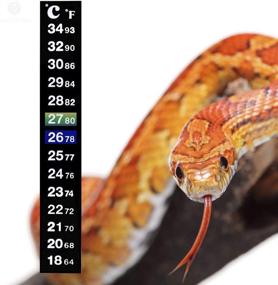 img 2 attached to Thermometer Tortoise Reptiles Accurate Monitoring