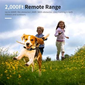 img 2 attached to 🐶 Brapezie Rechargeable Dog Training Collar: Remote-Controlled Shock Collars for Small, Medium, and Large Dogs - Waterproof Ecollar with 2000Ft Range, Beep, Vibration, Shock, Light Modes, and Keypad Lock