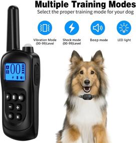 img 3 attached to 🐶 Brapezie Rechargeable Dog Training Collar: Remote-Controlled Shock Collars for Small, Medium, and Large Dogs - Waterproof Ecollar with 2000Ft Range, Beep, Vibration, Shock, Light Modes, and Keypad Lock