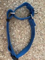 img 1 attached to Heavy Duty Nylon Anti-Escape Martingale Collar For Large Dogs - Professional Training, Daily Use Walking (Large, Sleet Gray) review by Michael Hemmig