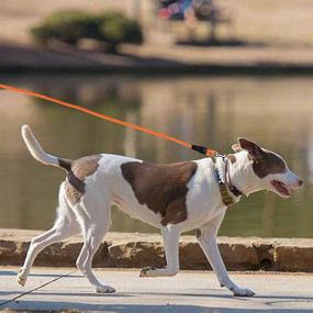 img 2 attached to 🐕 High-Quality Long Nylon Rope Leash for Dog Training and Safety - 10FT to 48FT Length Options - Heavy-Duty and Ideal for Small, Medium, and Large Dogs - Perfect for Training, Playing, Camping, or Backyard Use - Vibrant Orange Color