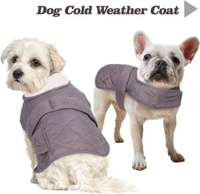 img 2 attached to Pet Dog Winter Coat - Warm, Windproof & Waterproof Fleece-Lined Outdoor Jacket for Small, Medium & Large Breeds - Adjustable, Cozy & Thick Snowsuit Clothes for Dogs - Girls & Boys