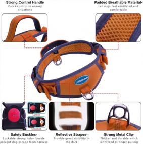 img 1 attached to Reflective Padded Dog Collar With Handle - Heavy-Duty Sport Nylon Collar And Leash Set For Comfort And Safety, Orange, Size Medium