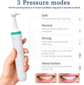 img 2 attached to 🦷 Akizbeir Electric Tooth Polisher: 5 Replacement Heads, 2000mAh Charging, Dental Tartar Remover & Teeth Whitening Cleaning Kit for People and Pets (White-Green)