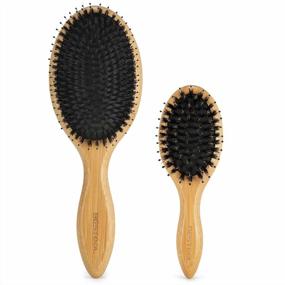 img 4 attached to BESTOOL Boar Bristle Hair Brush: Perfect For Detangling Thick, Fine & Curly Hair - For Women Men Kids!