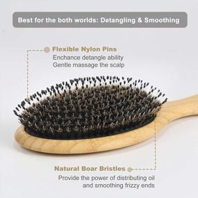 img 3 attached to BESTOOL Boar Bristle Hair Brush: Perfect For Detangling Thick, Fine & Curly Hair - For Women Men Kids!
