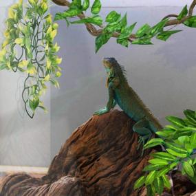 img 1 attached to Enhance Your Reptile'S Habitat With KATUMO Hanging Plants - Perfect For Lizards, Geckos, Bearded Dragons, Snakes, And Hermit Crabs