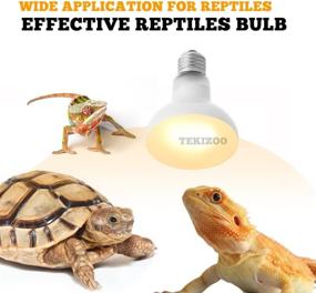 img 3 attached to 🔥 TEKIZOO Reptile Heat Lamp: UVA Basking Daylight Spot Bulb 100W (3 Pack) for Amphibians, Lizards, Tortoises, and Bearded Dragons