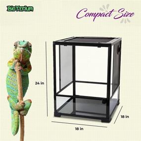 img 1 attached to 🦎 BIOTERIUM Reptile and Terrarium Starter Kit - Glass Tank Combo with Bulb, Plant, Thermometer, Poster...