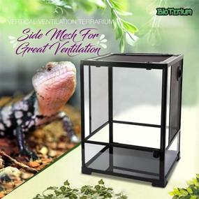 img 2 attached to 🦎 BIOTERIUM Reptile and Terrarium Starter Kit - Glass Tank Combo with Bulb, Plant, Thermometer, Poster...