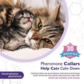 img 3 attached to 😺 3 Pack Calming Collar for Cats and Kittens: Reduce Anxiety and Stress with Pheromones, Comfortable and Breakaway Design – Adjustable for Small, Medium, and Large Cats