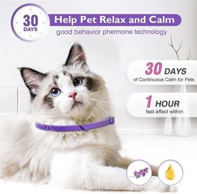 img 1 attached to 😺 3 Pack Calming Collar for Cats and Kittens: Reduce Anxiety and Stress with Pheromones, Comfortable and Breakaway Design – Adjustable for Small, Medium, and Large Cats